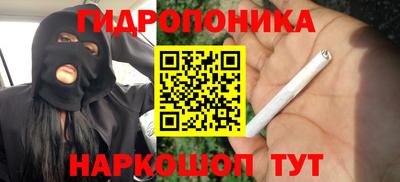 гидропоника Канаш
