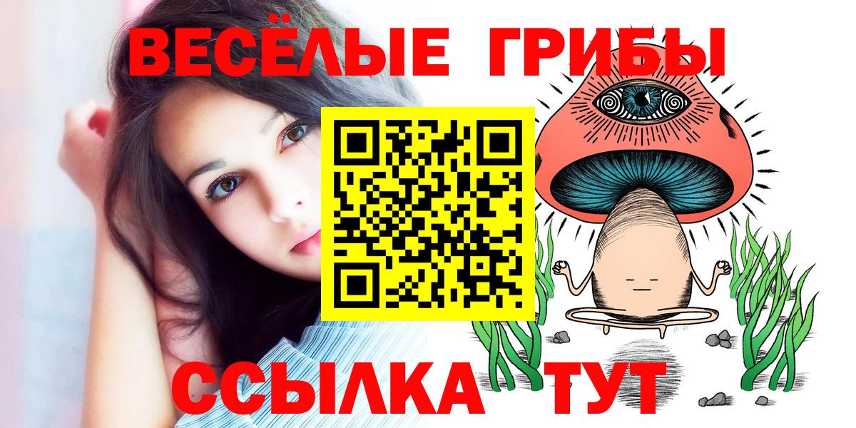 Галлюциногенные грибы мицелий  Вход с VPN  Красноярск 